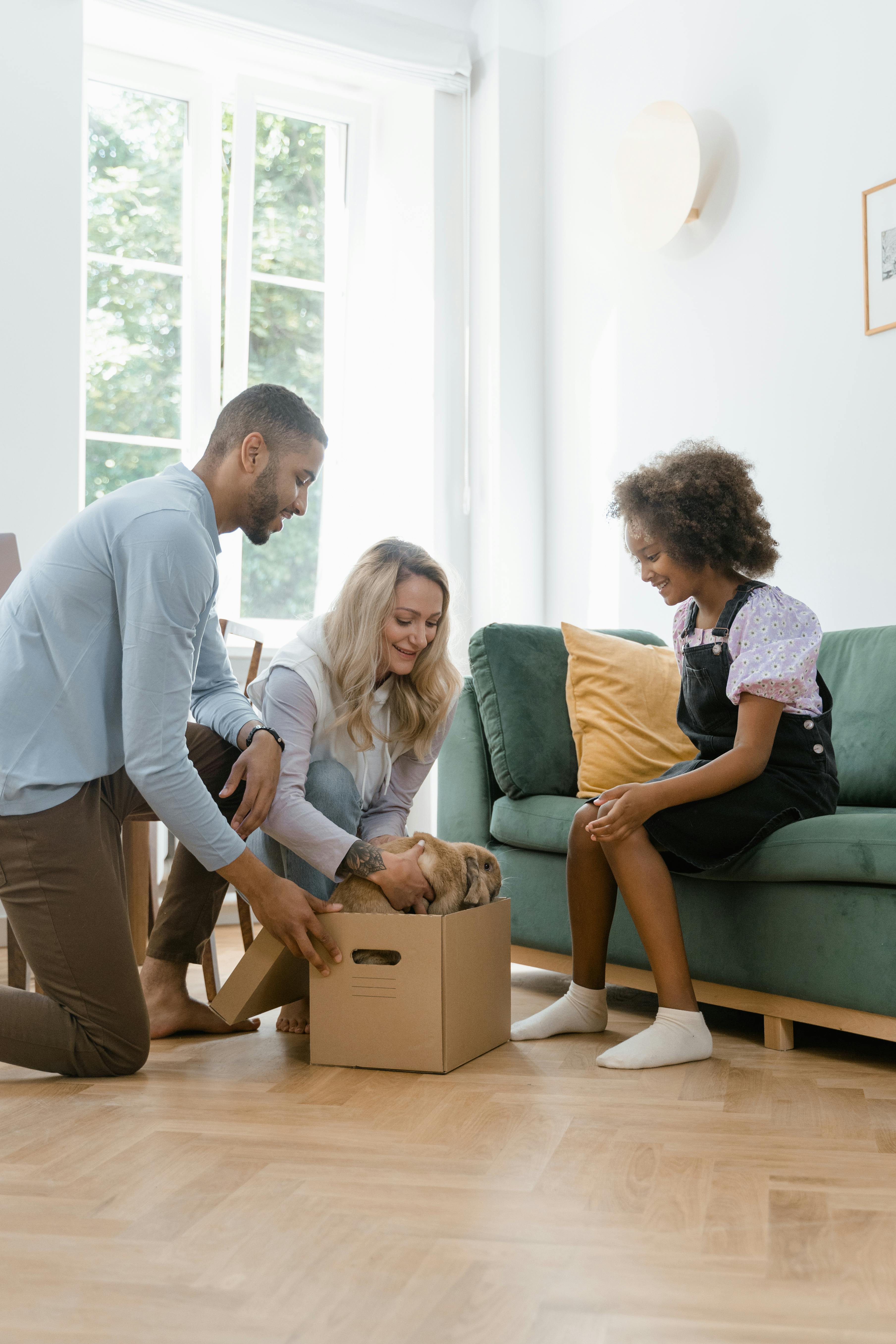 parents giving a little girl a cat from a box in a living room